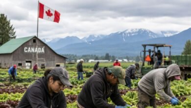 Farm Worker Jobs in Canada